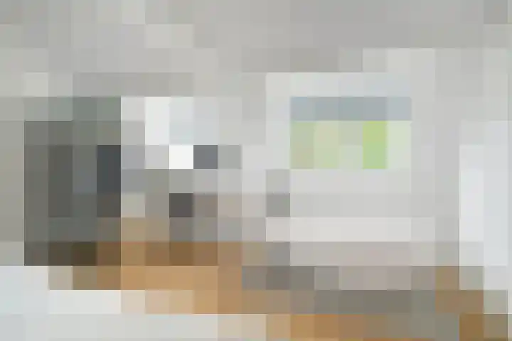 Gaffelstraat 1 Breda thumbnail 22