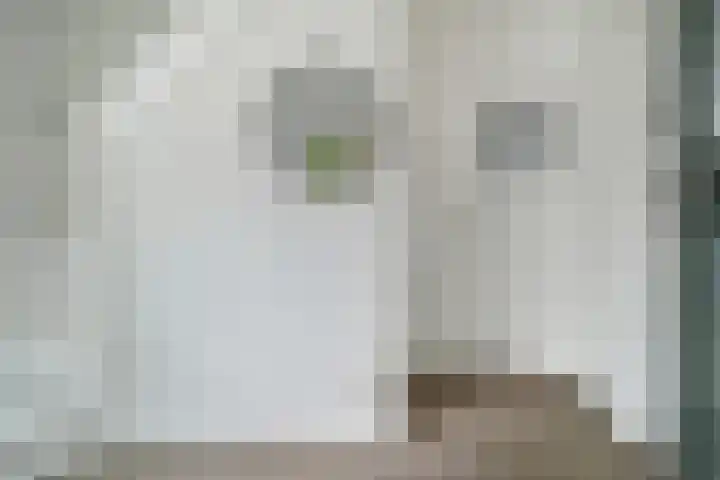 Gaffelstraat 1 Breda thumbnail 37