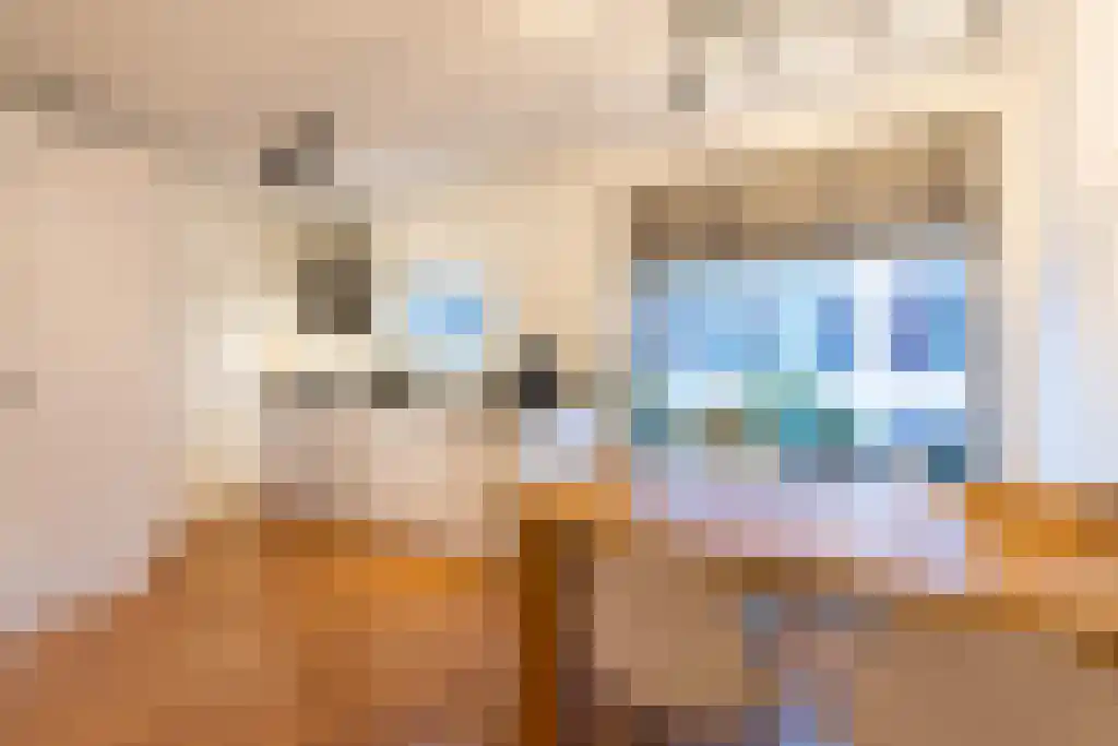 Gaffelstraat 151 Rotterdam thumbnail 5