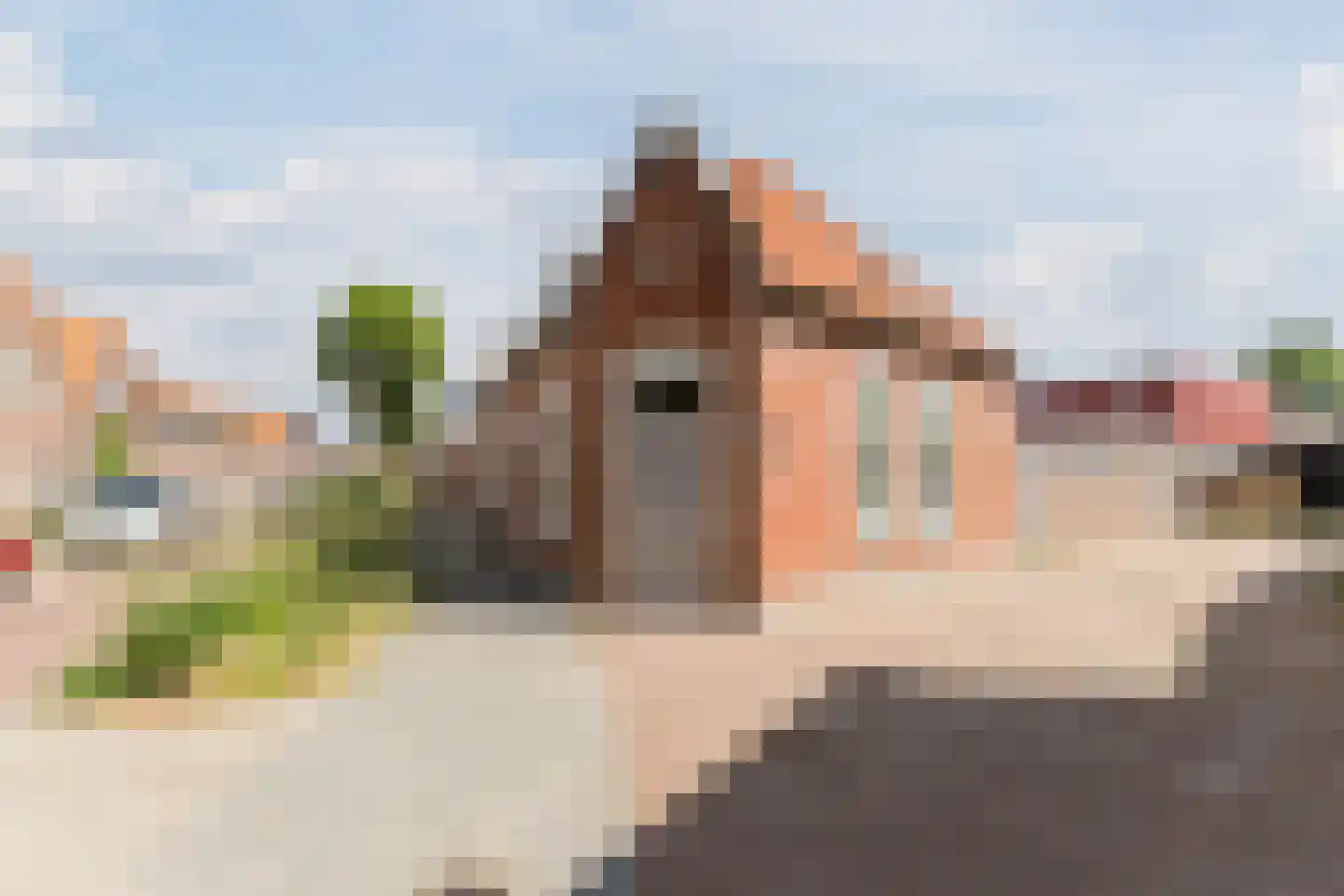 Gaffelstraat 2 Breda thumbnail 28