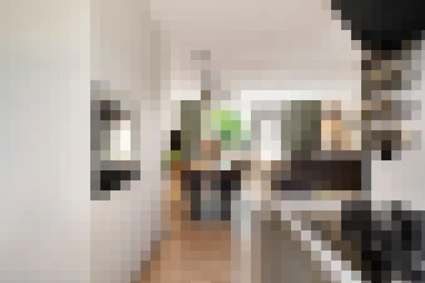 Gaffelstraat 21 Alkmaar thumbnail 18