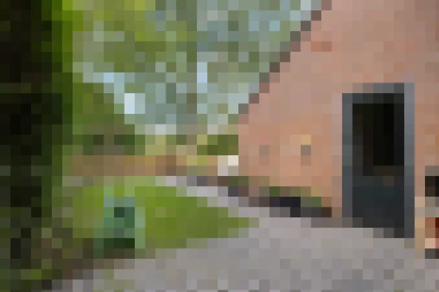 Gaffelstraat 21 Alkmaar thumbnail 36