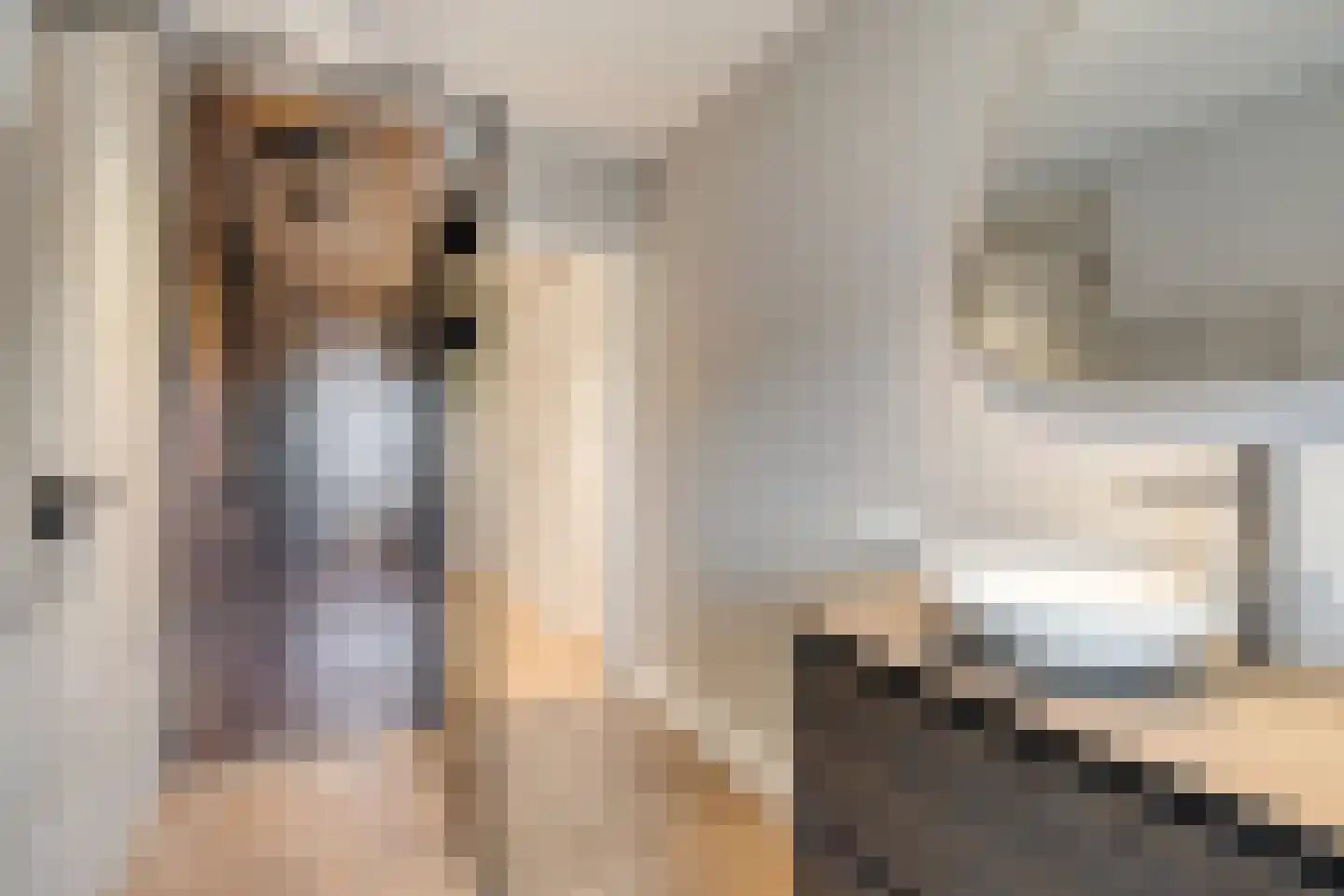 Gaffelstraat 39 Breda thumbnail 31