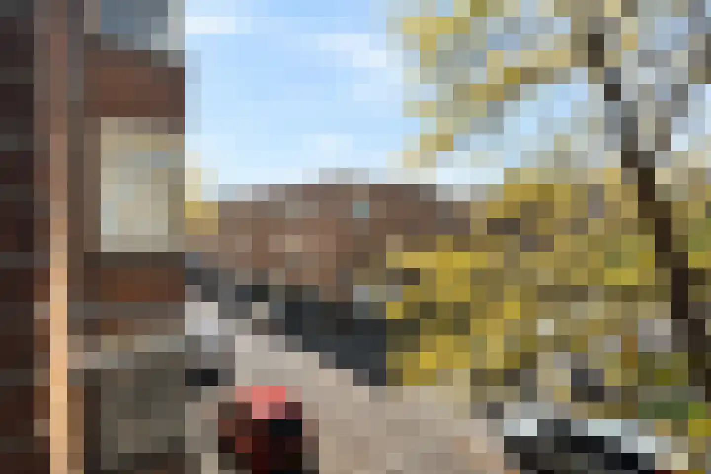 Gaffelstraat 56 A Rotterdam thumbnail 11