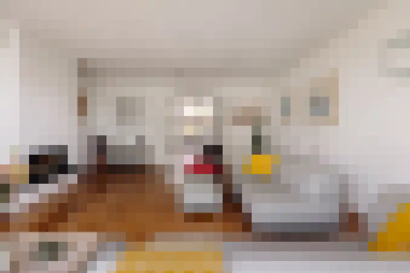 Gaffelstraat 6 Kudelstaart thumbnail 11
