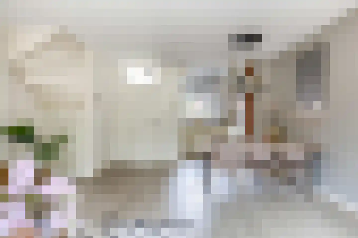 Gaffelstraat 8 Alkmaar thumbnail 12