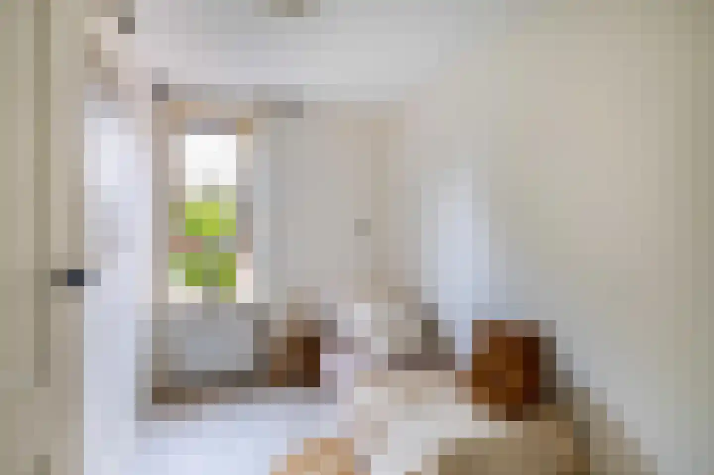 Gaffelstraat 8 Alkmaar thumbnail 21