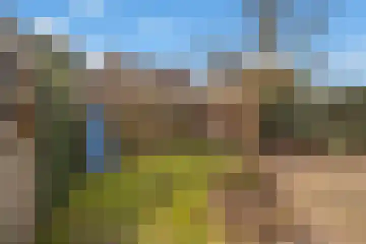 Gaffelveld 26 Houten thumbnail 19