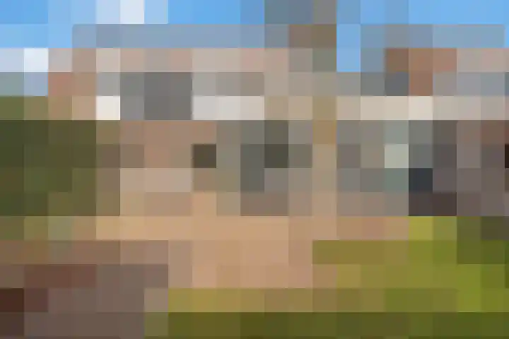 Gaffelveld 26 Houten thumbnail 20