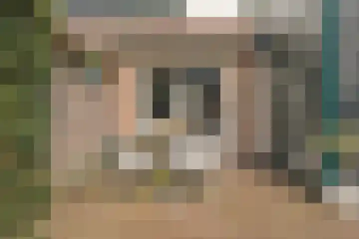 Gaffelveld 26 Houten thumbnail 22