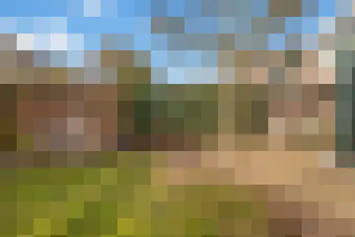 Gaffelveld 26 Houten thumbnail 24