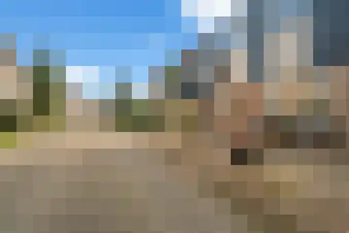 Gaffelveld 26 Houten thumbnail 46