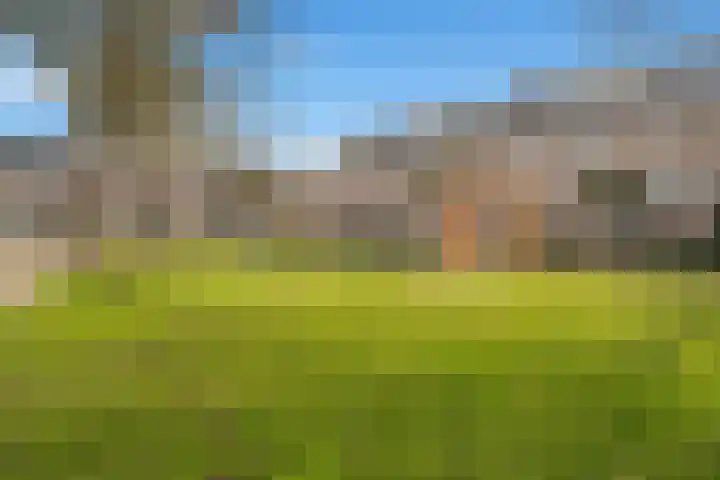 Gaffelveld 26 Houten thumbnail 48