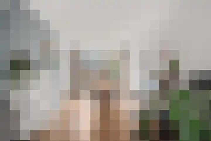 Gaffelveld 26 Houten thumbnail 7