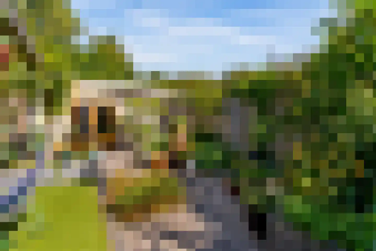 Gaffelveld 51 Houten thumbnail 51
