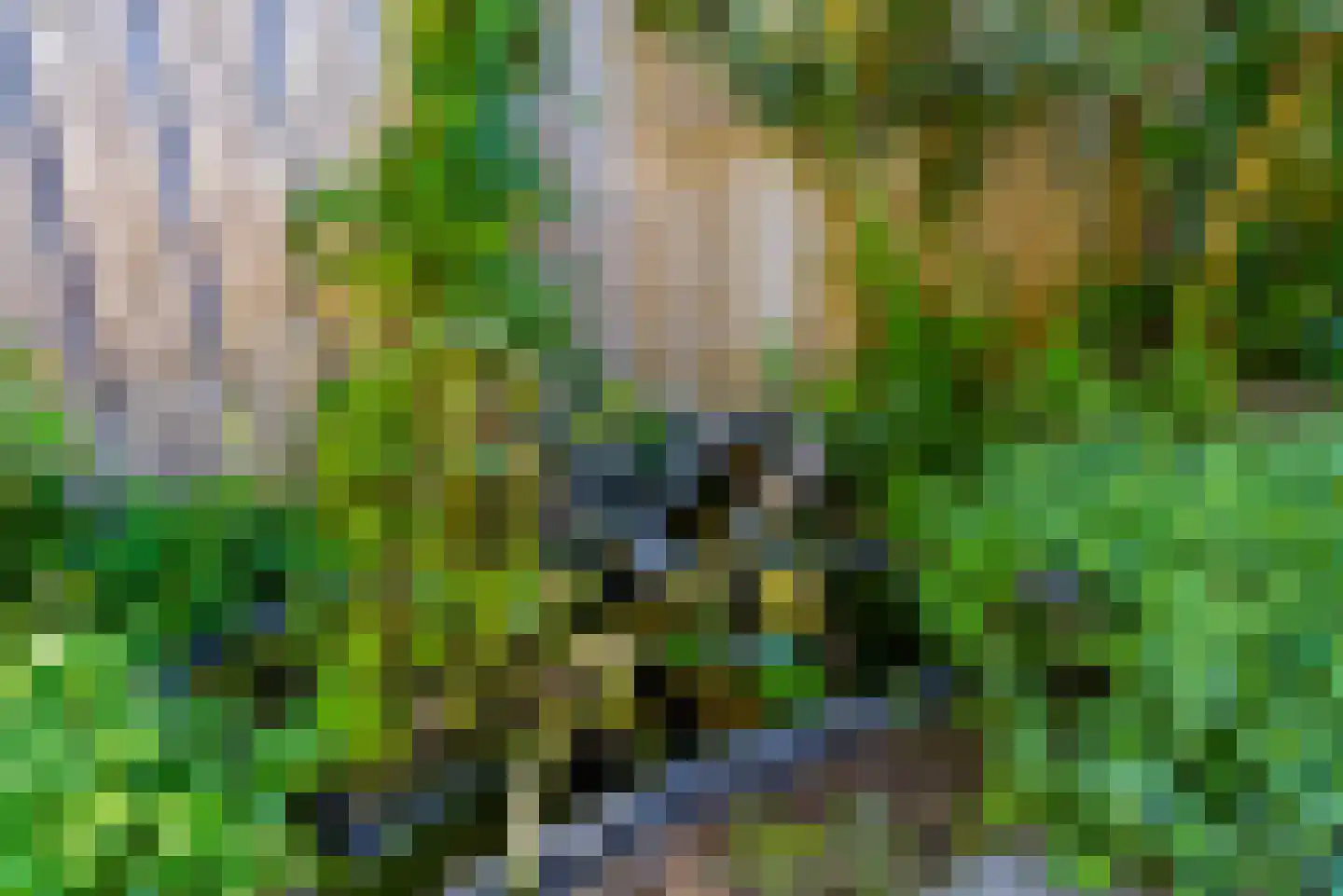 Gaffelveld 51 Houten thumbnail 52