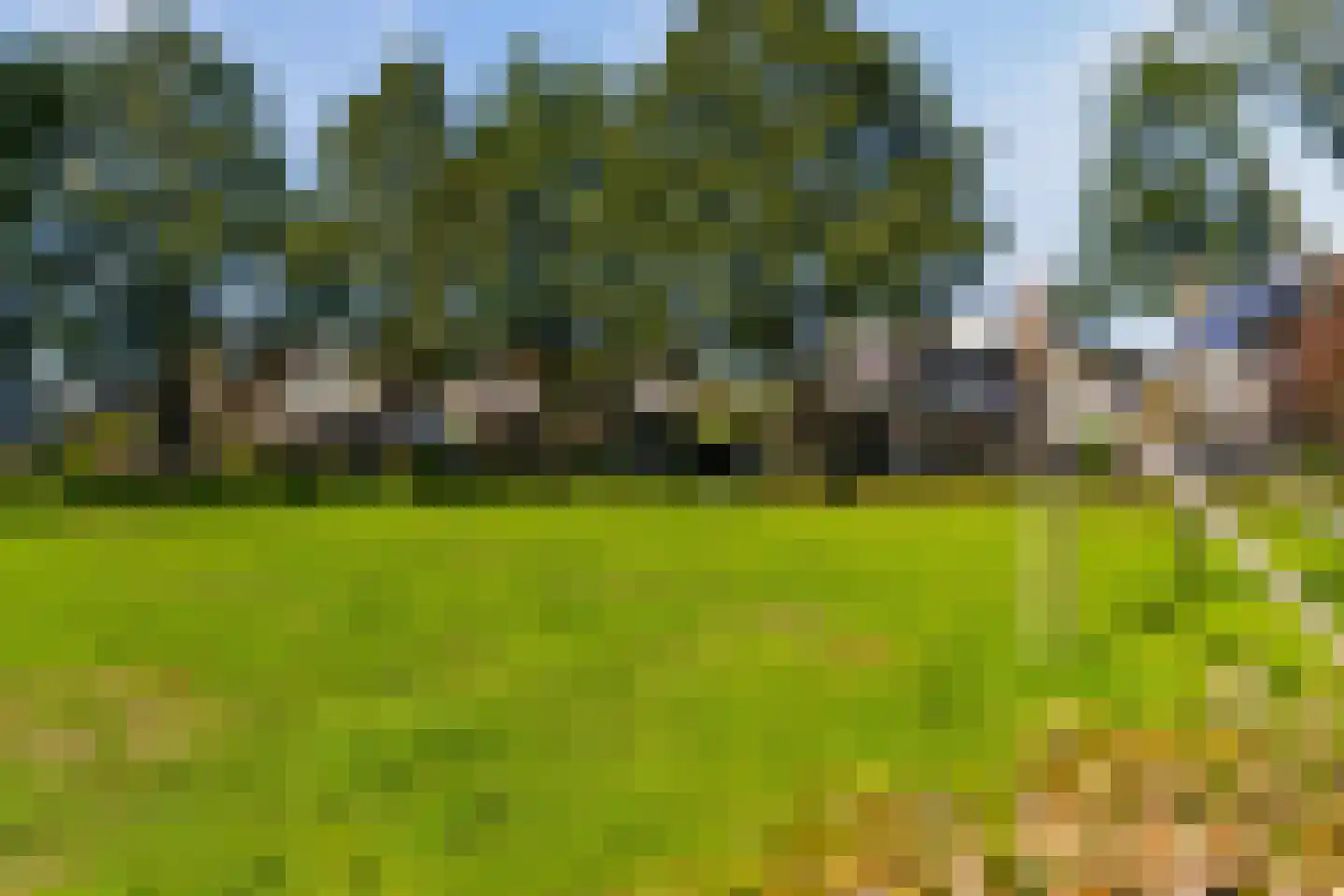 Gaffelveld 51 Houten thumbnail 62