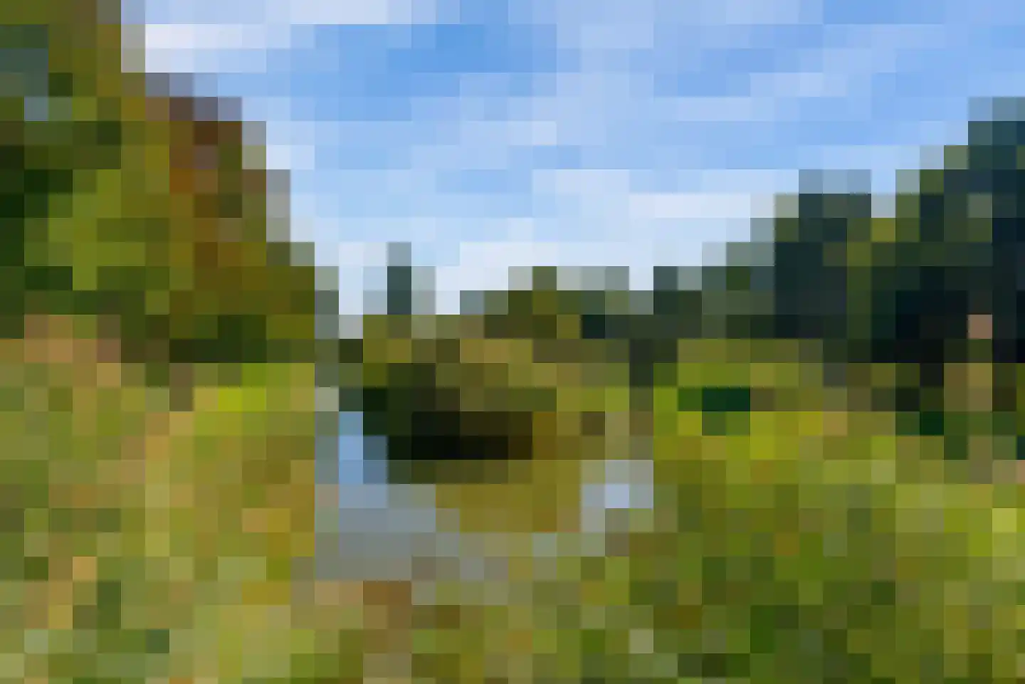 Gaffelveld 51 Houten thumbnail 64
