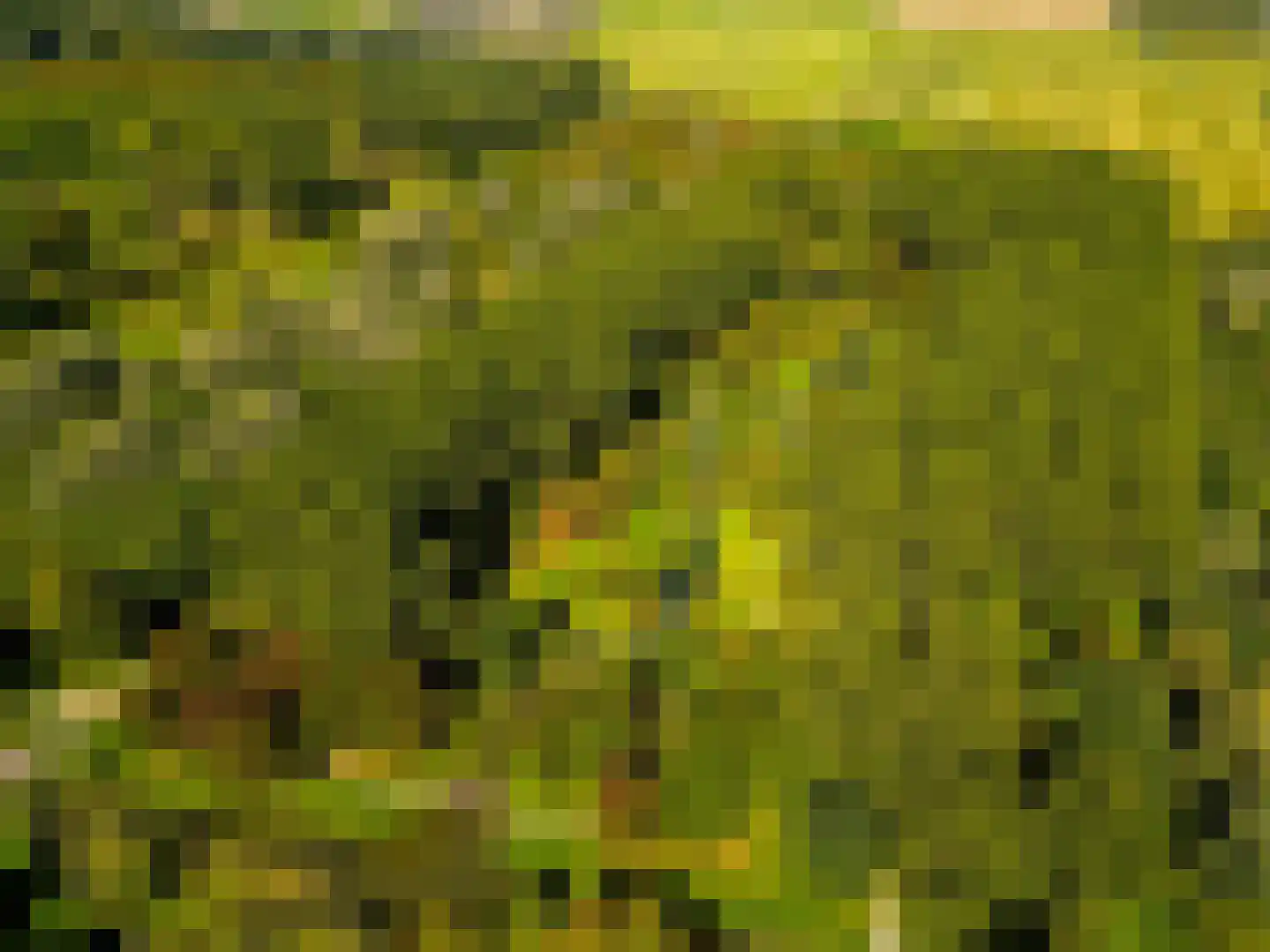 Gaffelveld 51 Houten thumbnail 71