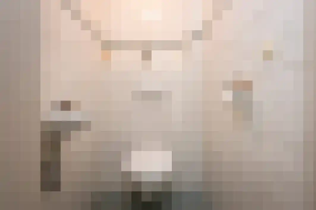 Gagarinstraat 3 Hilvarenbeek thumbnail 10
