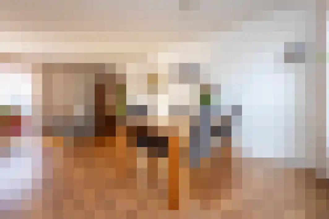 Gagarinstraat 3 Hilvarenbeek thumbnail 13