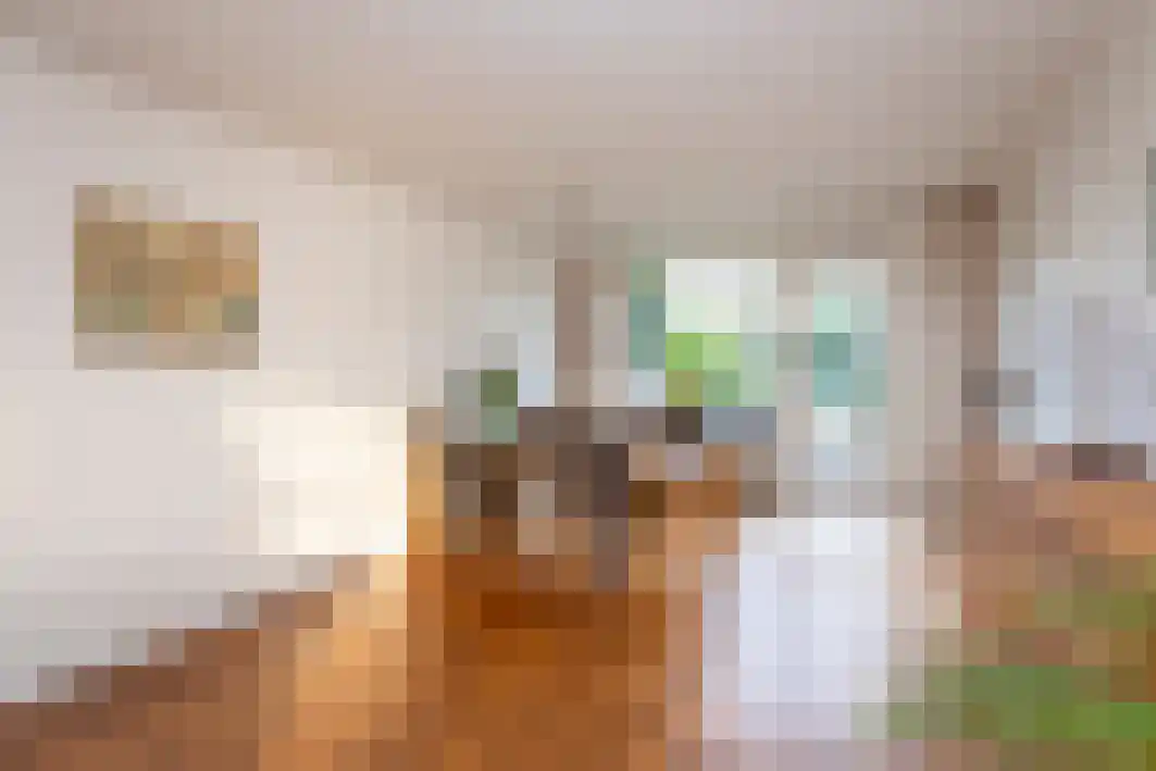 Gagarinstraat 3 Hilvarenbeek thumbnail 15