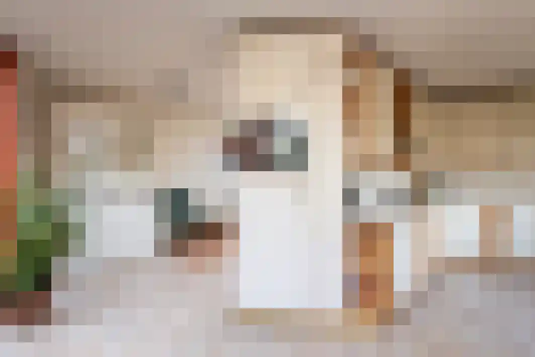 Gagarinstraat 3 Hilvarenbeek thumbnail 19