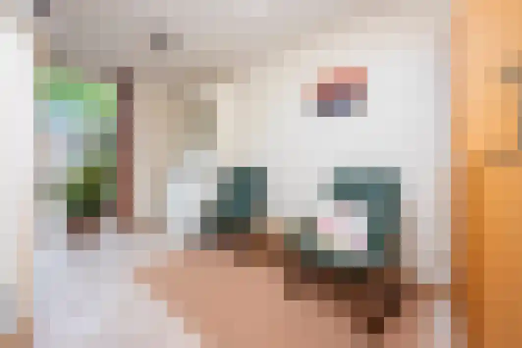 Gagarinstraat 3 Hilvarenbeek thumbnail 21