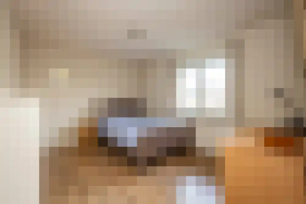 Gagarinstraat 3 Hilvarenbeek thumbnail 26