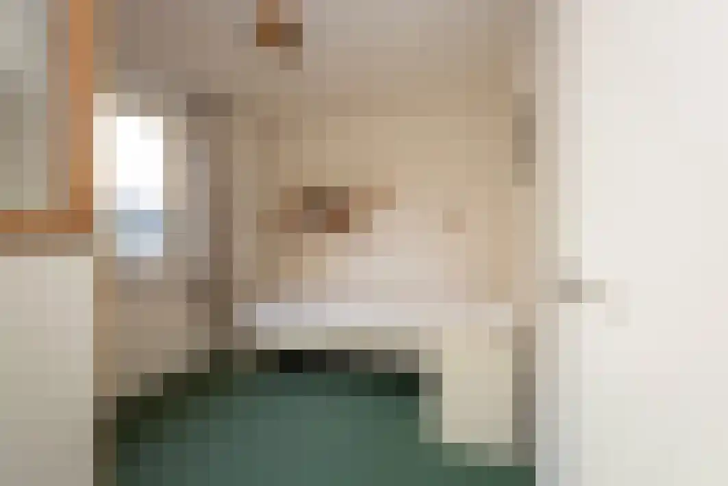 Gagarinstraat 3 Hilvarenbeek thumbnail 28