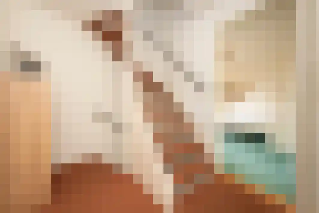 Gagarinstraat 3 Hilvarenbeek thumbnail 32