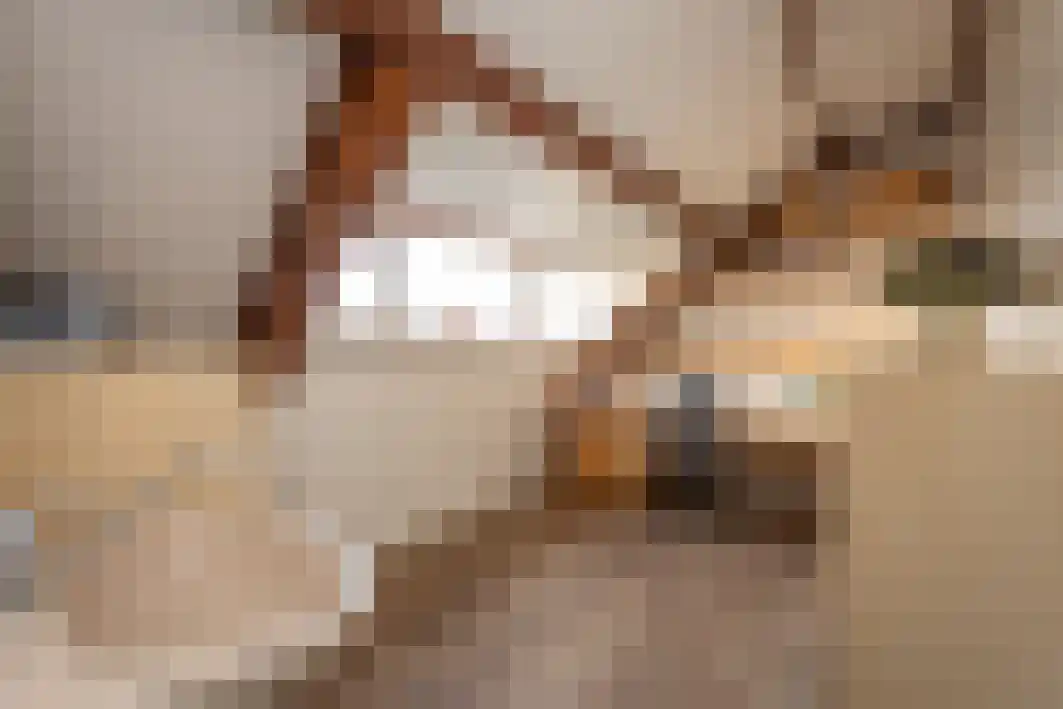 Gagarinstraat 3 Hilvarenbeek thumbnail 34