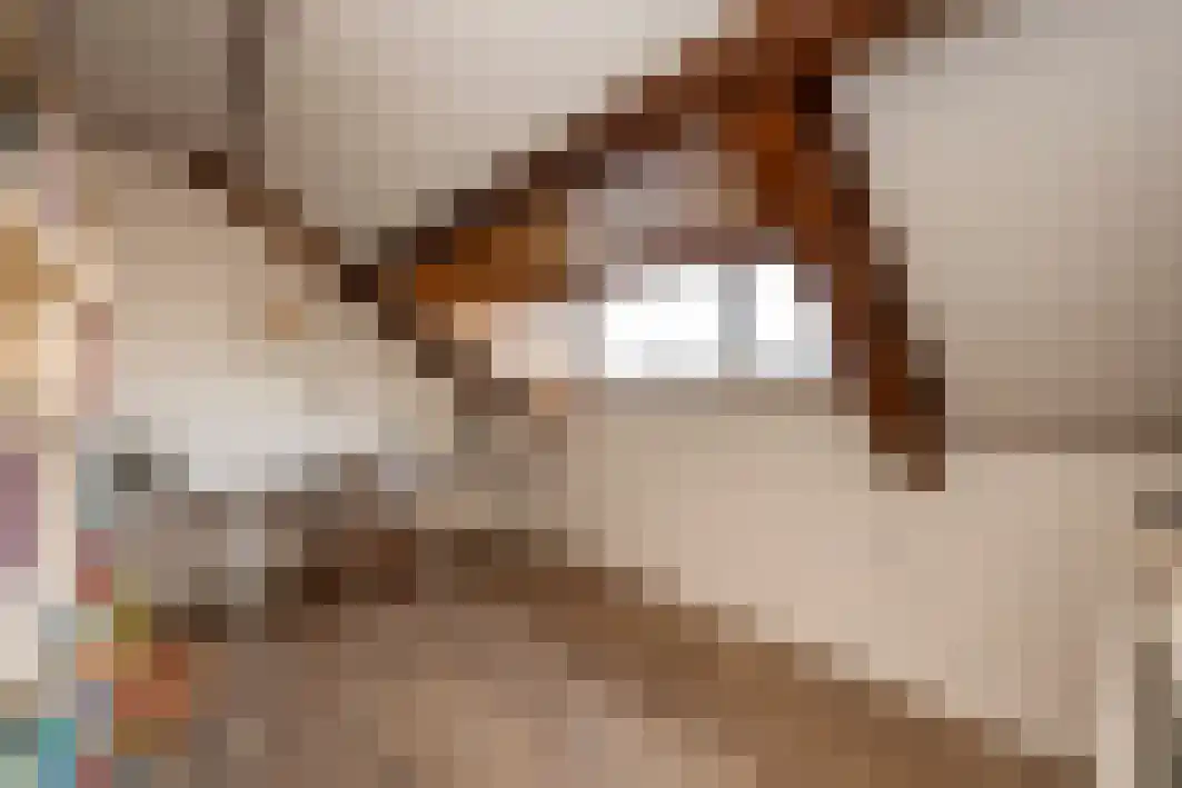 Gagarinstraat 3 Hilvarenbeek thumbnail 36
