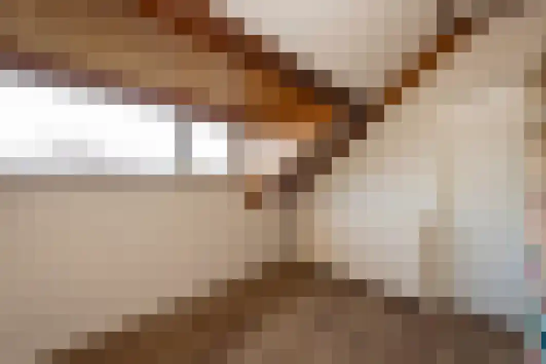 Gagarinstraat 3 Hilvarenbeek thumbnail 37