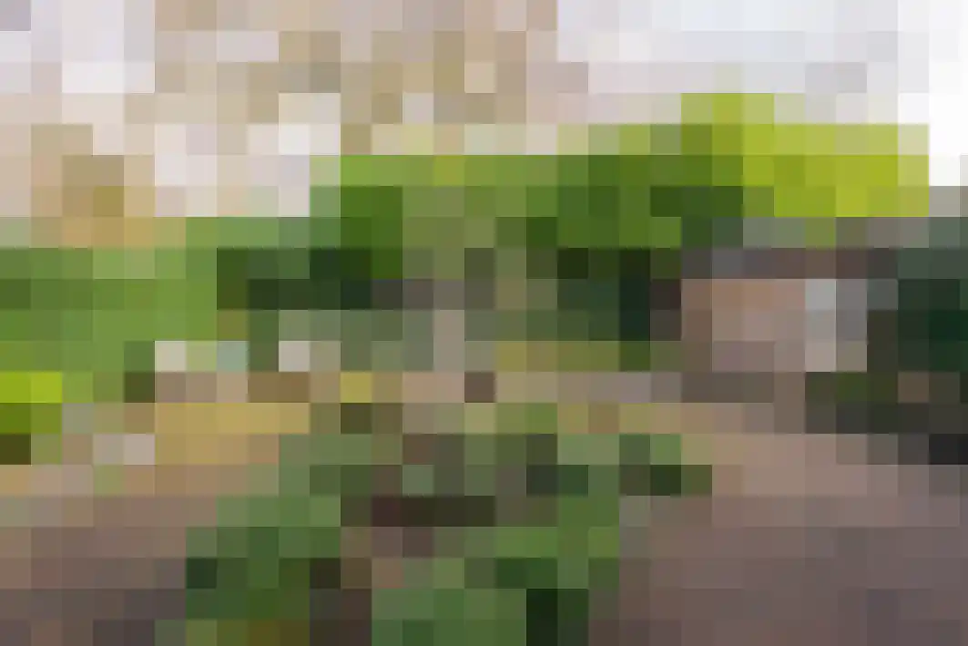 Gagarinstraat 3 Hilvarenbeek thumbnail 39