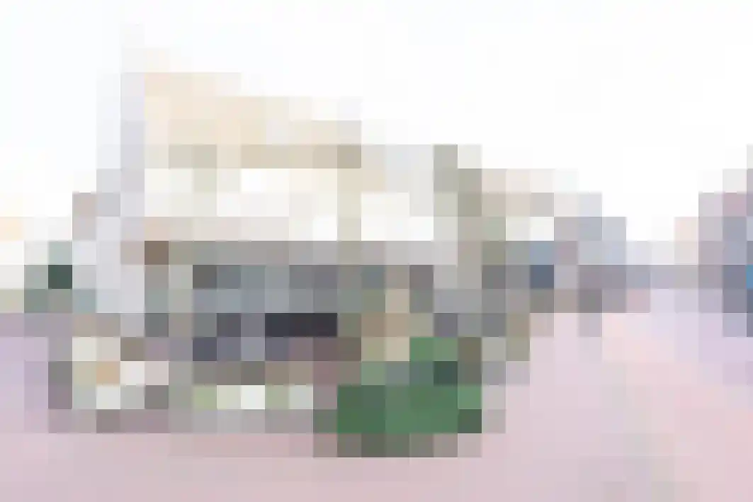 Gagarinstraat 3 Hilvarenbeek thumbnail 48