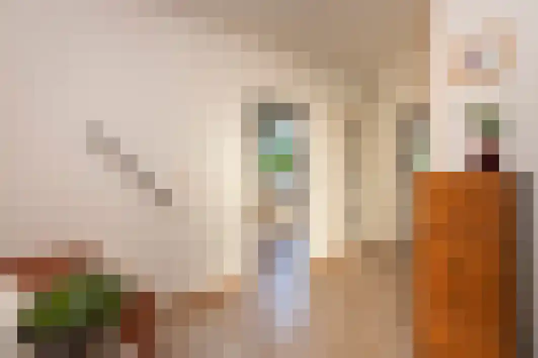 Gagarinstraat 3 Hilvarenbeek thumbnail 8