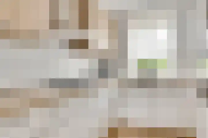 Gagel 10 Herkenbosch thumbnail 12