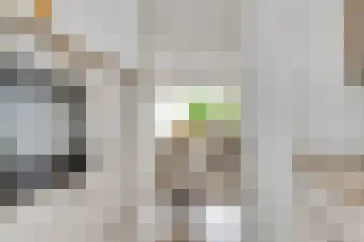 Gagel 10 Herkenbosch thumbnail 14