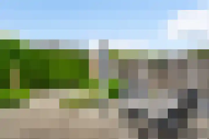 Gagel 10 Herkenbosch thumbnail 18