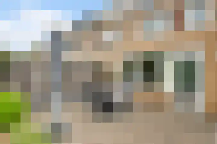 Gagel 10 Herkenbosch thumbnail 19