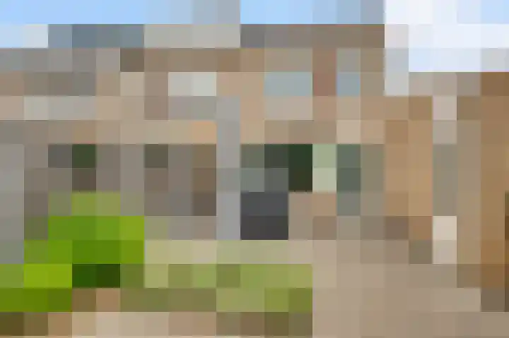 Gagel 10 Herkenbosch thumbnail 20