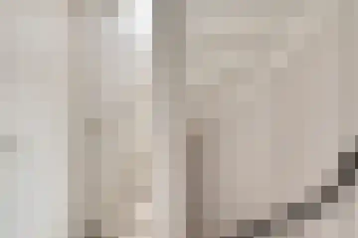 Gagel 10 Herkenbosch thumbnail 22