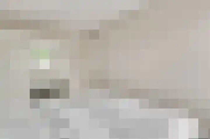 Gagel 10 Herkenbosch thumbnail 24