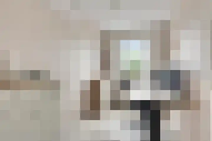Gagel 10 Herkenbosch thumbnail 25