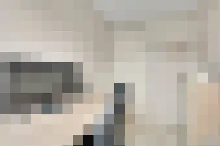 Gagel 10 Herkenbosch thumbnail 26