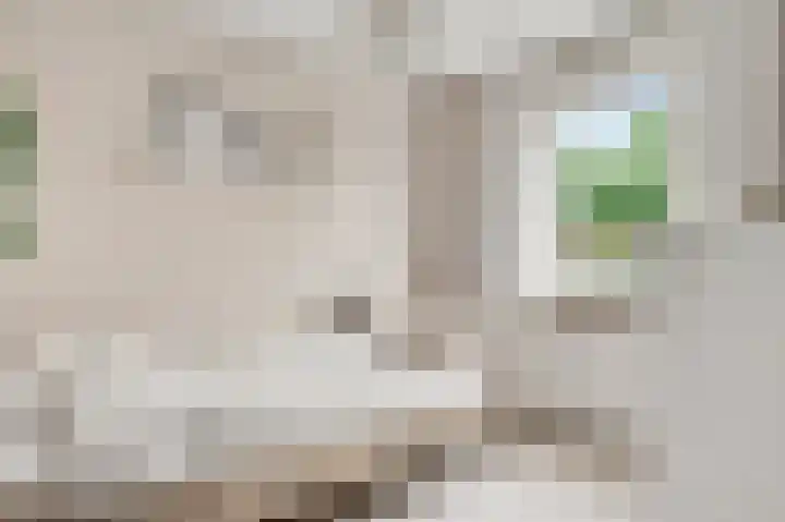 Gagel 10 Herkenbosch thumbnail 27