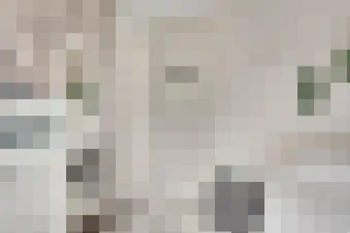 Gagel 10 Herkenbosch thumbnail 28