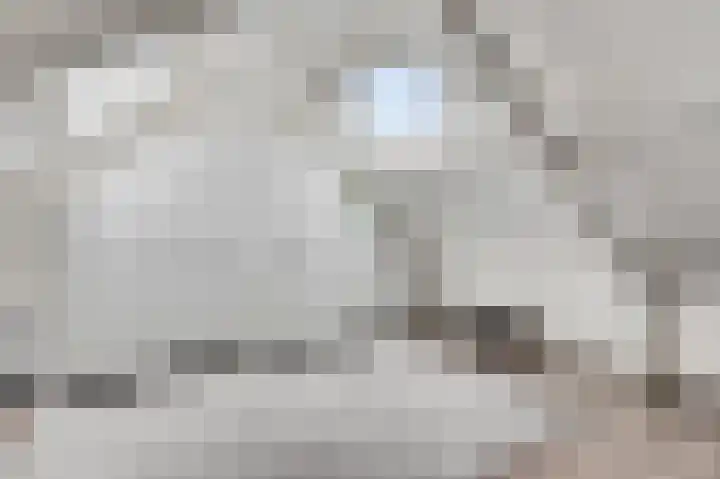 Gagel 10 Herkenbosch thumbnail 32
