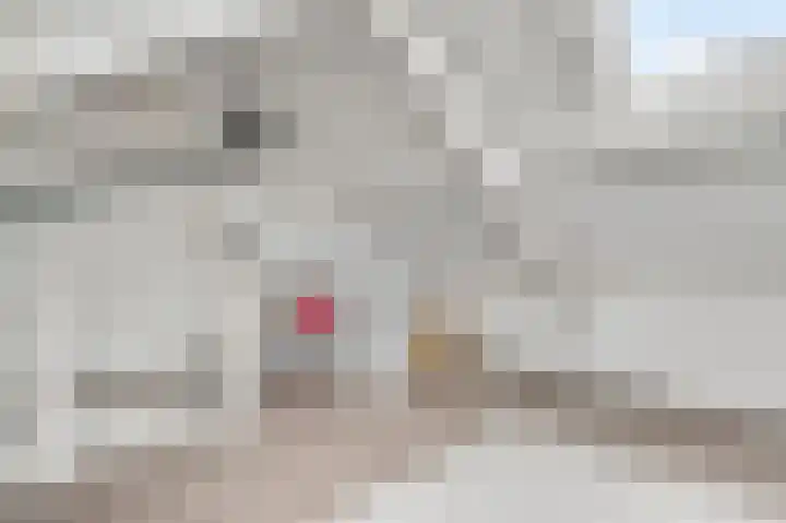 Gagel 10 Herkenbosch thumbnail 33